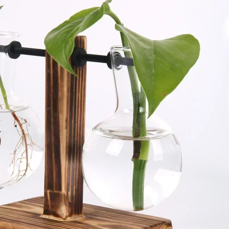 Jarrón transparente con forma de bulbo y soporte de madera, macetero de cristal para escritorio, para plantas hidropónicas, decoración de cafeterías