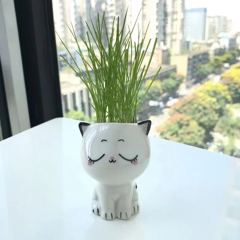 1pc Ceramic Flowerpot Mini Cat Cartoon Cute Potted Plant Desktop Cat Plant Pot DIY Desk Decorate Science Education School Gifts