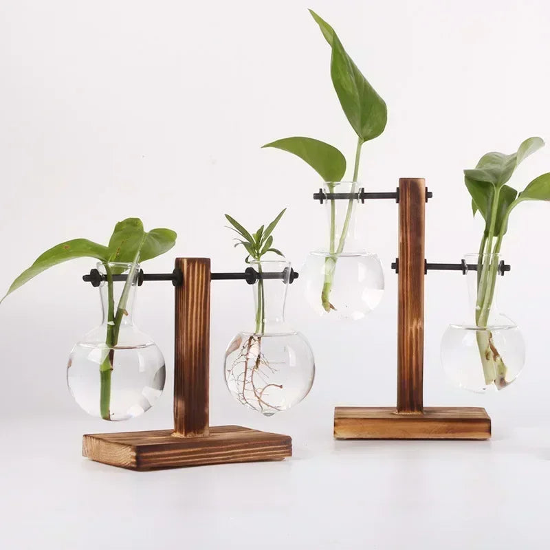 Jarrón transparente con forma de bulbo y soporte de madera, macetero de cristal para escritorio, para plantas hidropónicas, decoración de cafeterías