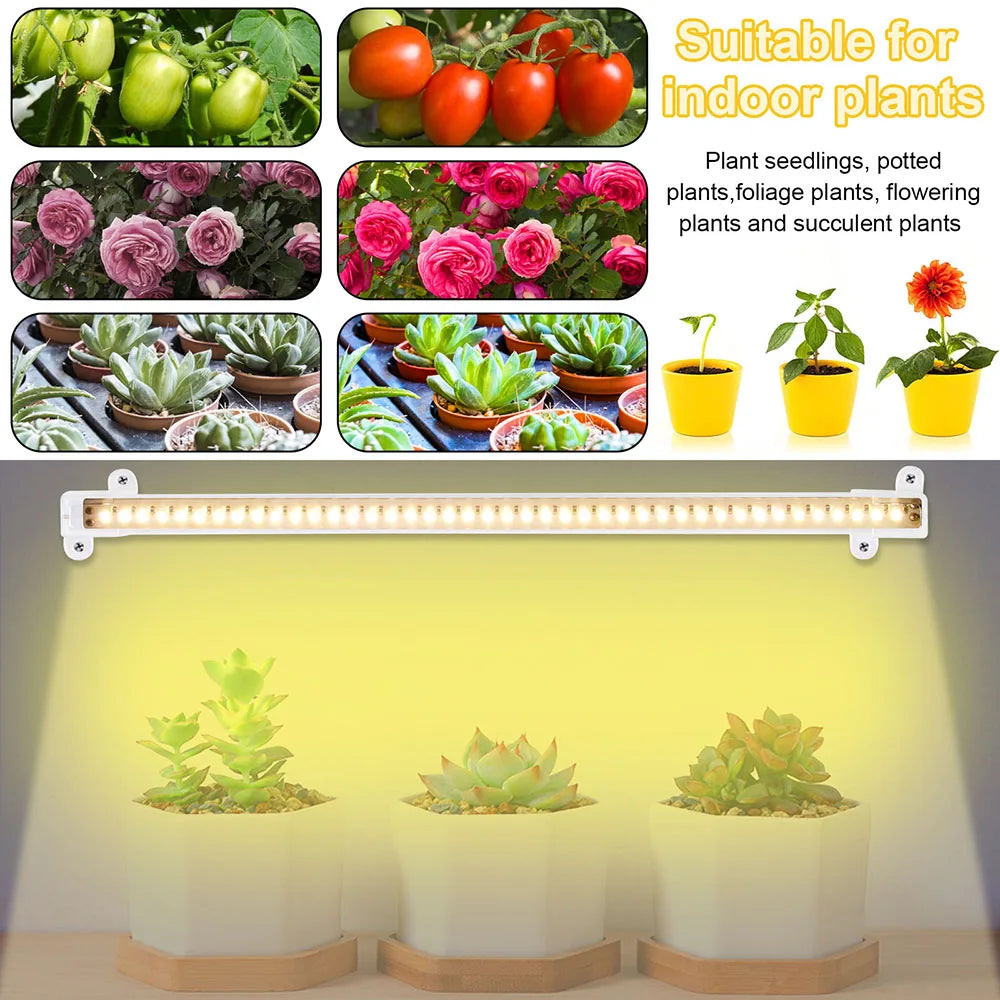 Tiras de luz LED para cultivo de plantas de interior, 1/2/3/4 LED, lámpara fito con USB de espectro completo, temporizador regulable, lámpara para cultivo de plántulas, verduras y flores