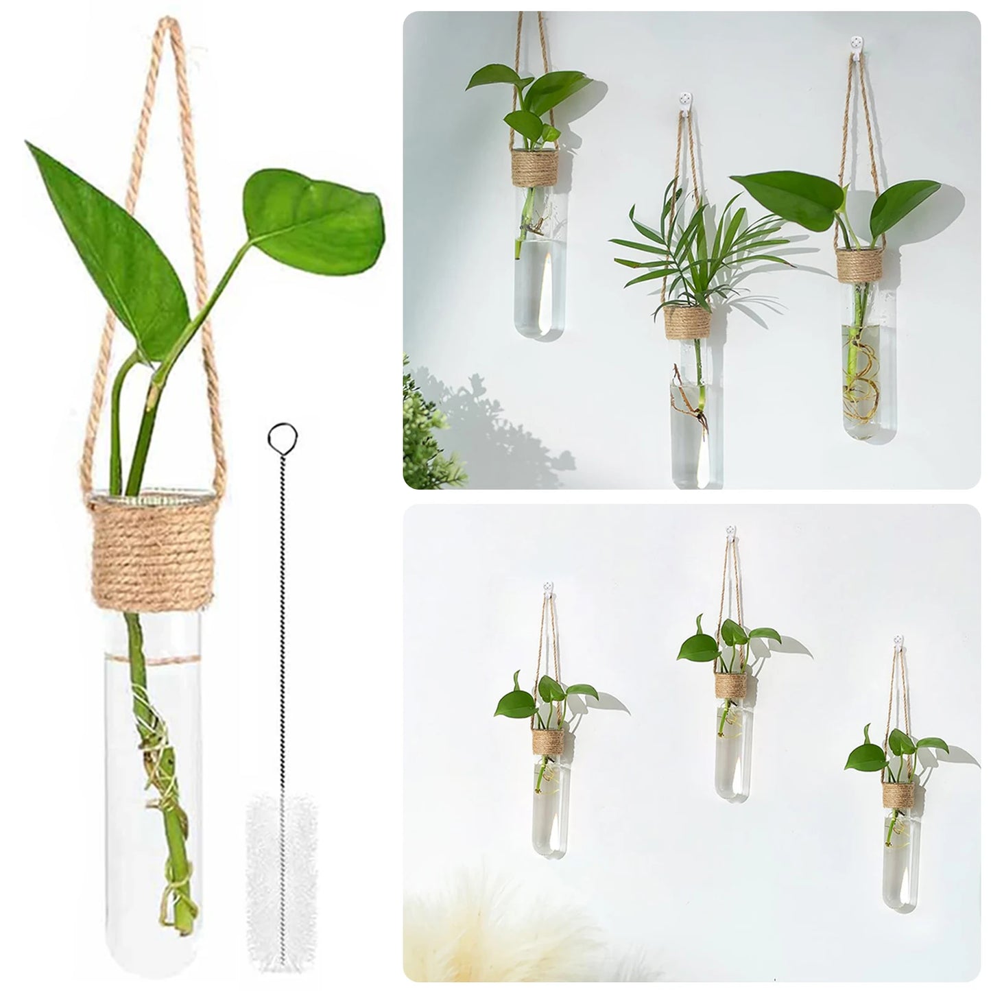 4pcs Wall Hanging Glass Planter Wall Mounted Decorative Flower Vase Set Small Wall Vase Window Decoration