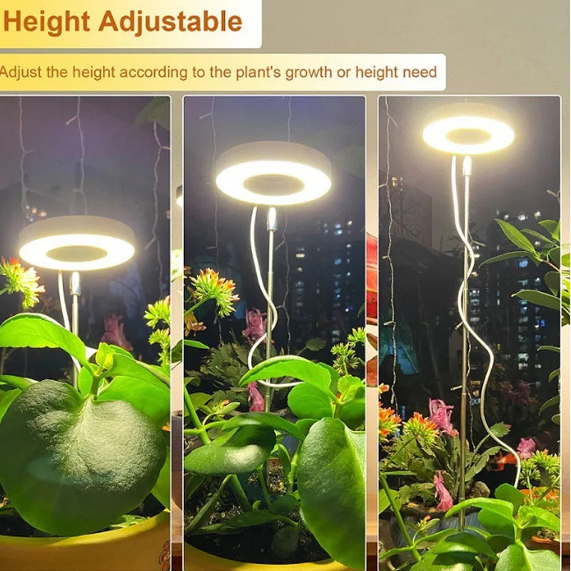 Lámpara LED de espectro completo para cultivo de plantas, lámpara de cultivo regulable y ajustable, lámpara LED hidropónica con temporizador para plantas de interior