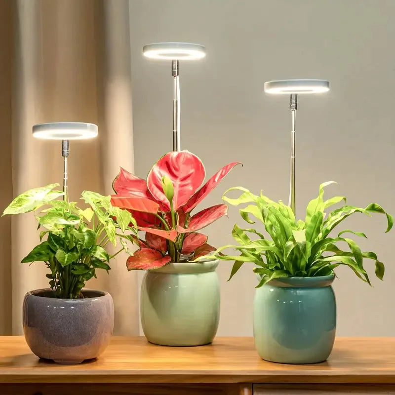 Lámpara LED de espectro completo para cultivo de plantas, lámpara de cultivo regulable y ajustable, lámpara LED hidropónica con temporizador para plantas de interior