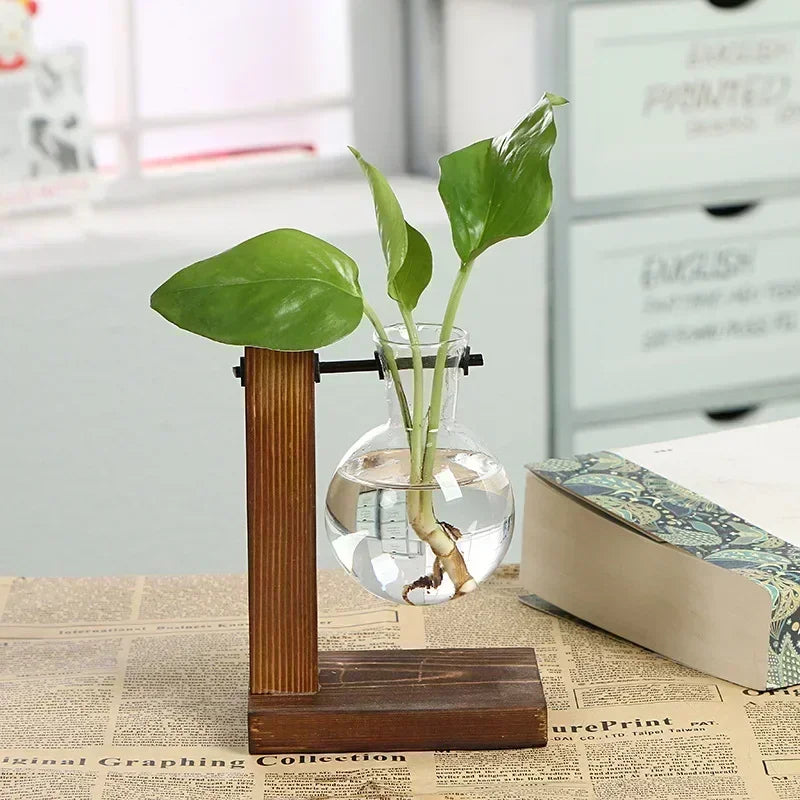 Transparent Bulb Vase with Wooden Stand Desktop Glass Planter for Hydroponics Plants Coffee Shop Room Decor