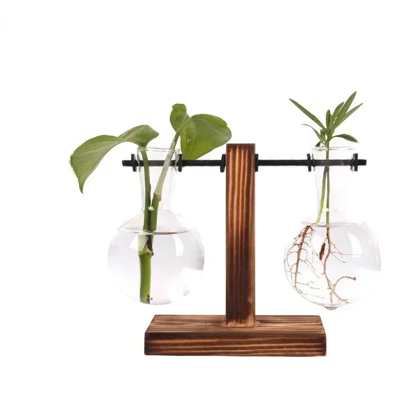 Jarrón transparente con forma de bulbo y soporte de madera, macetero de cristal para escritorio, para plantas hidropónicas, decoración de cafeterías