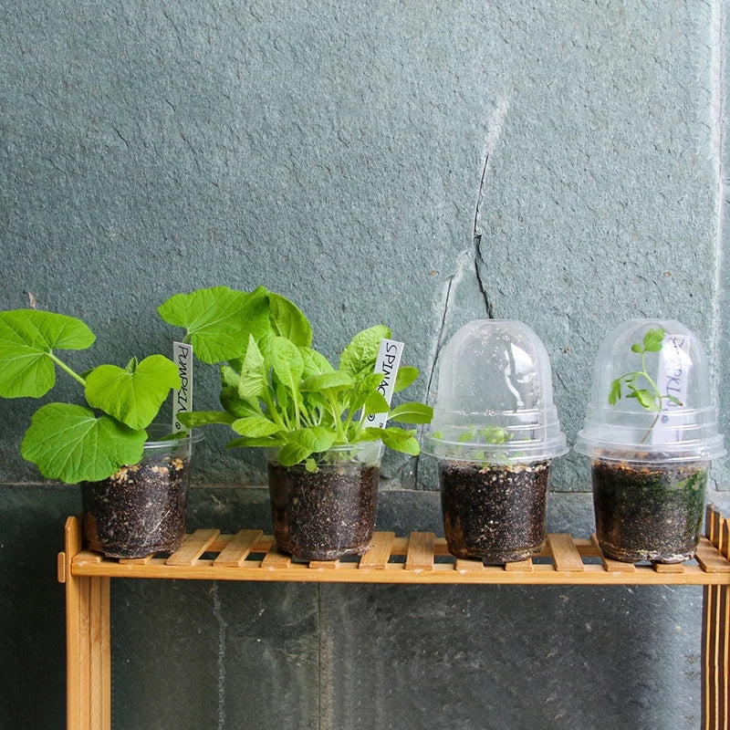 10/30 piezas de macetas transparentes para vivero, macetas redondas para jardín de casa, macetas transparentes para vivero de orquídeas, macetas para iniciar flores