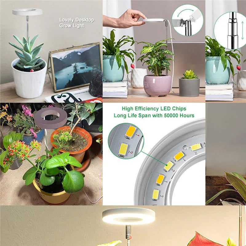 Lámpara LED de espectro completo para cultivo de plantas, lámpara de cultivo regulable y ajustable, lámpara LED hidropónica con temporizador para plantas de interior