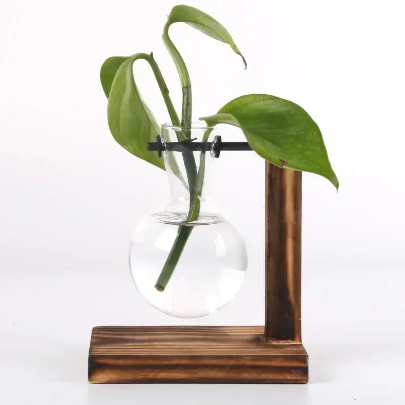 Jarrón transparente con forma de bulbo y soporte de madera, macetero de cristal para escritorio, para plantas hidropónicas, decoración de cafeterías