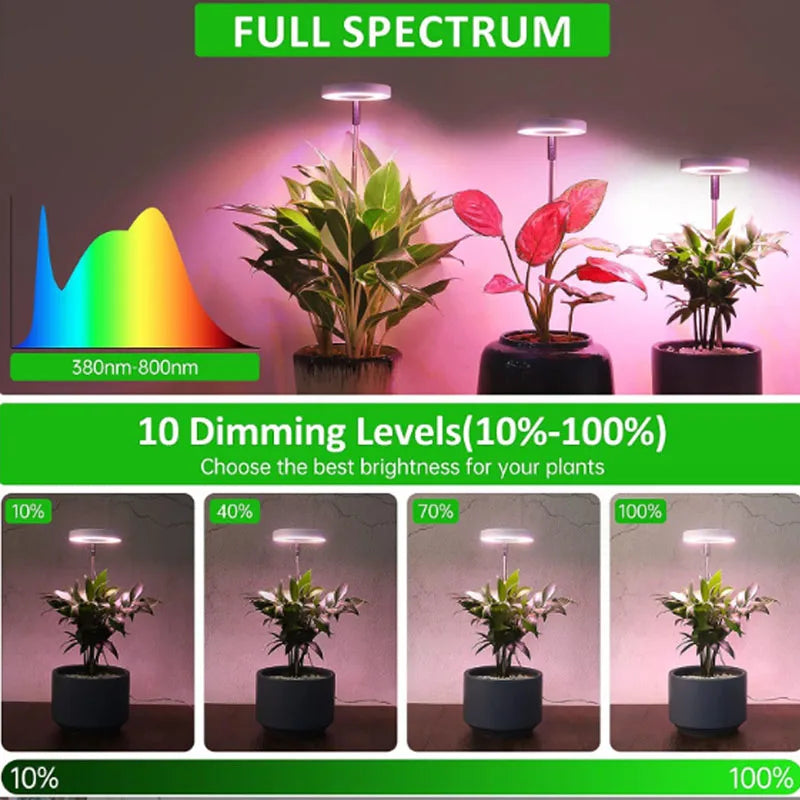 Lámpara LED de espectro completo para cultivo de plantas, lámpara de cultivo regulable y ajustable, lámpara LED hidropónica con temporizador para plantas de interior